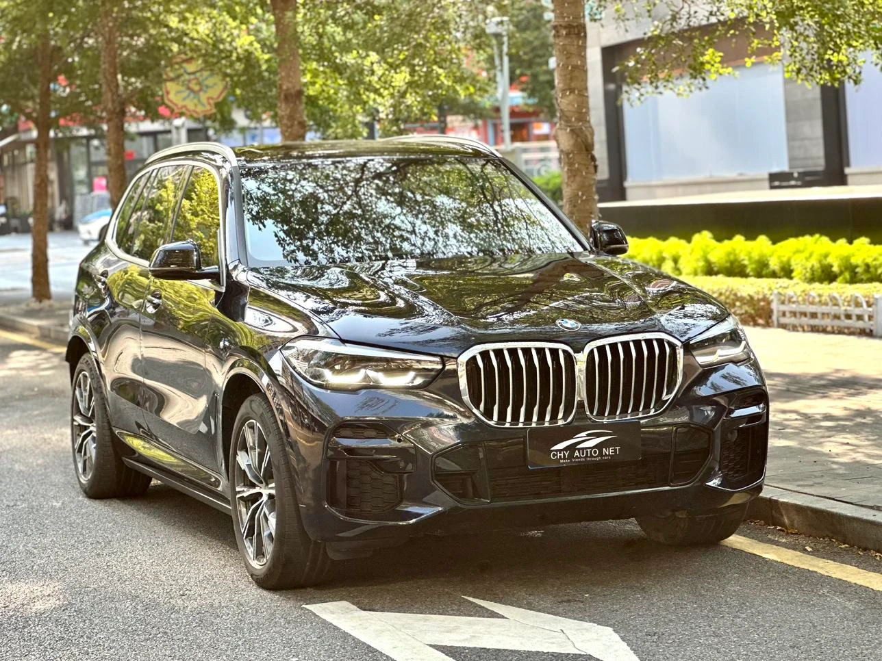 BMW X5  xDrive30i X Design Package
