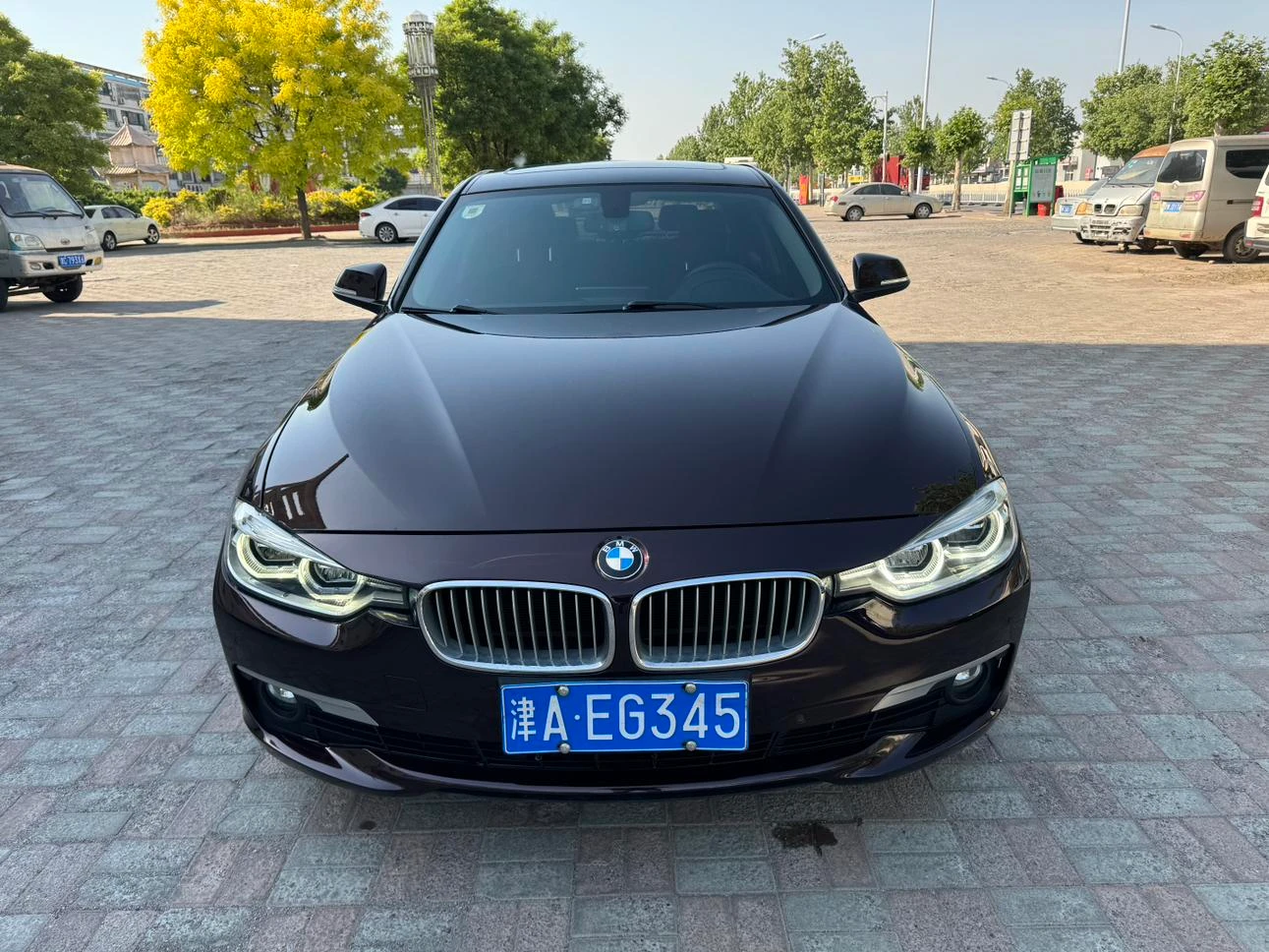 BMW 3 Series 320Li Luxury Line