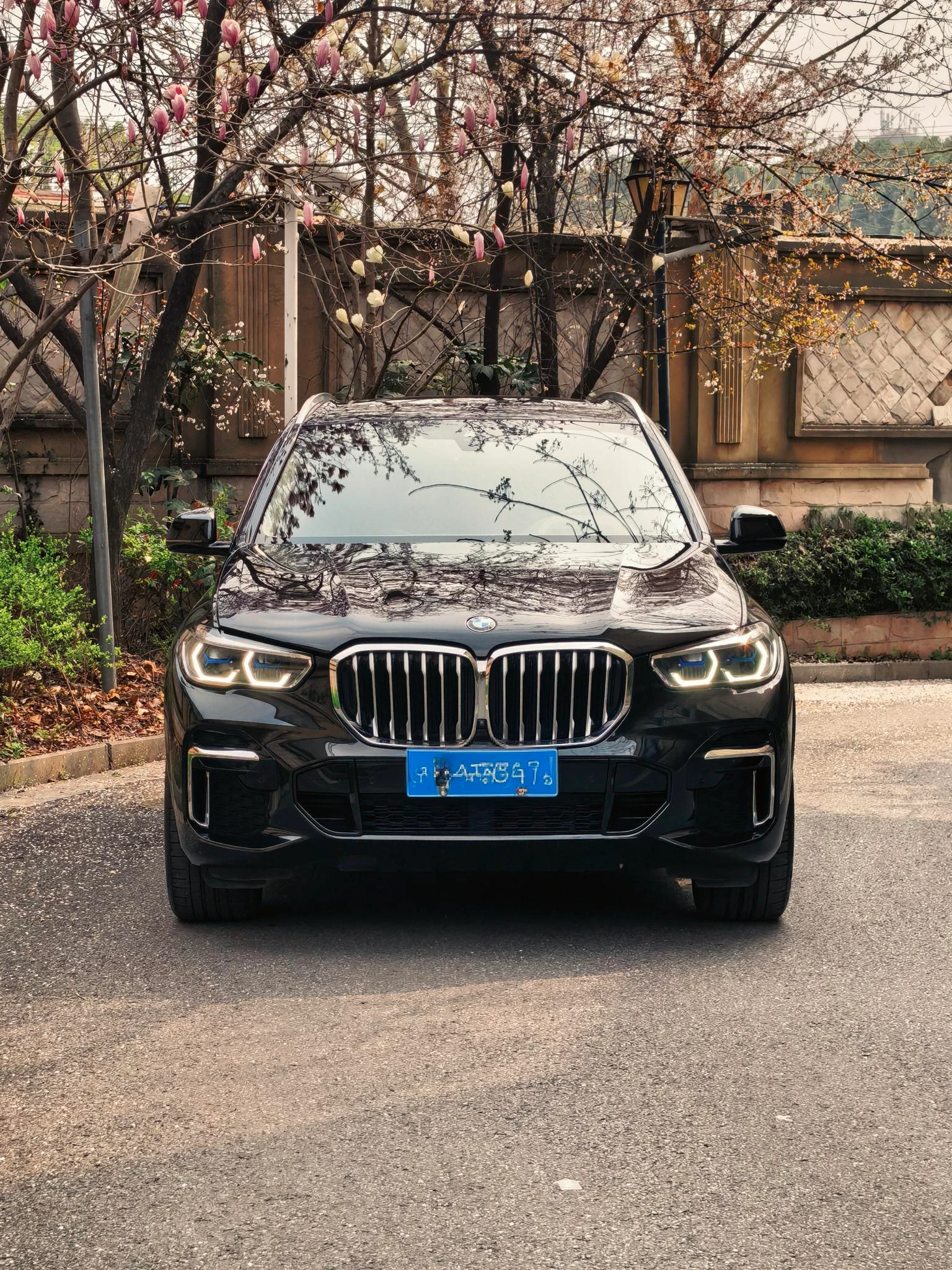 BMW X5 xDrive 30Li M Sport Package - exterior