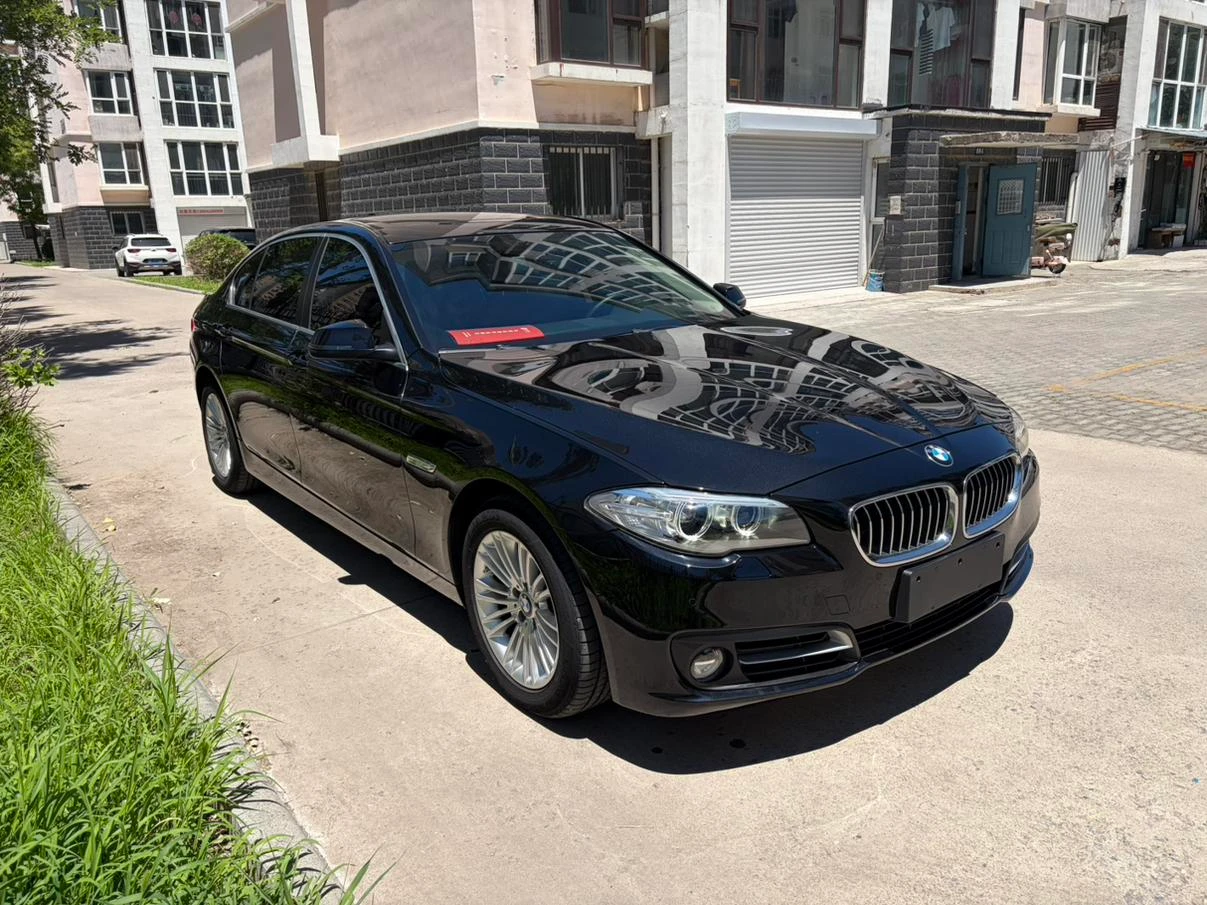 BMW 5 Series 525Li Leading Trim - exterior