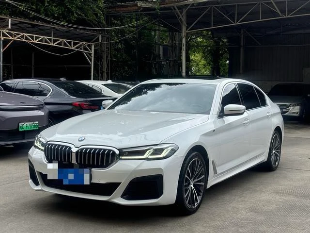 BMW 5 Series 530Li Leading