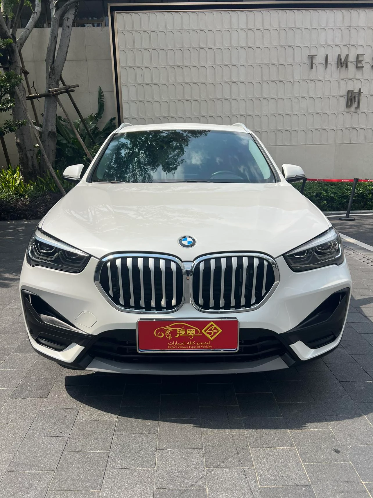 BMW X1 sDrive25Li Leading - exterior
