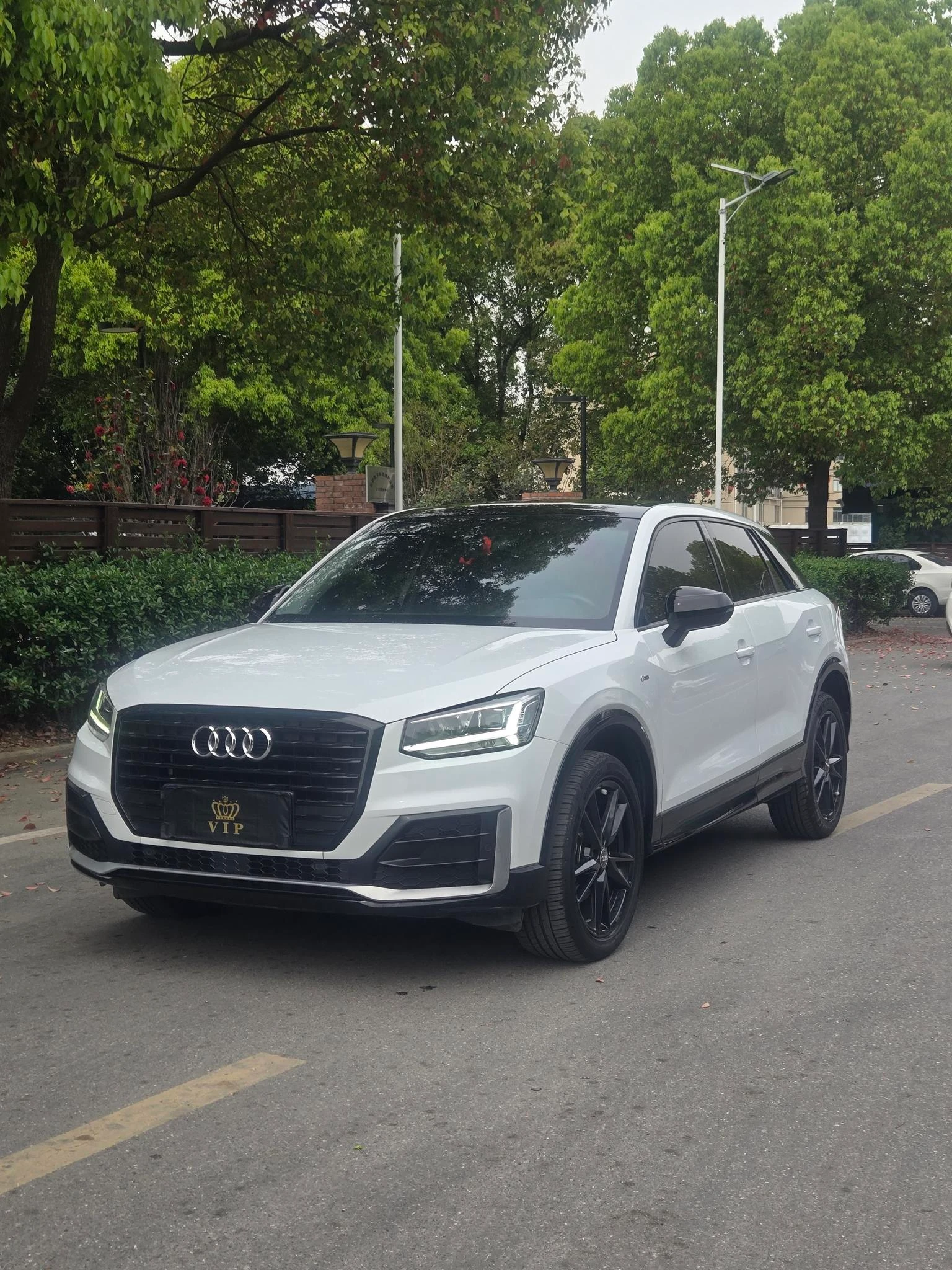 Audi Q2L 35TFSI Fashion Elegant Trim