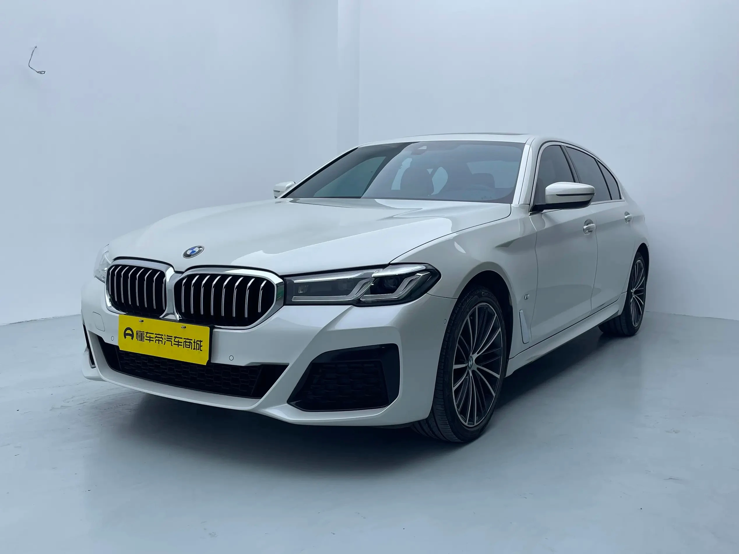 BMW 5 Series 530Li Leading