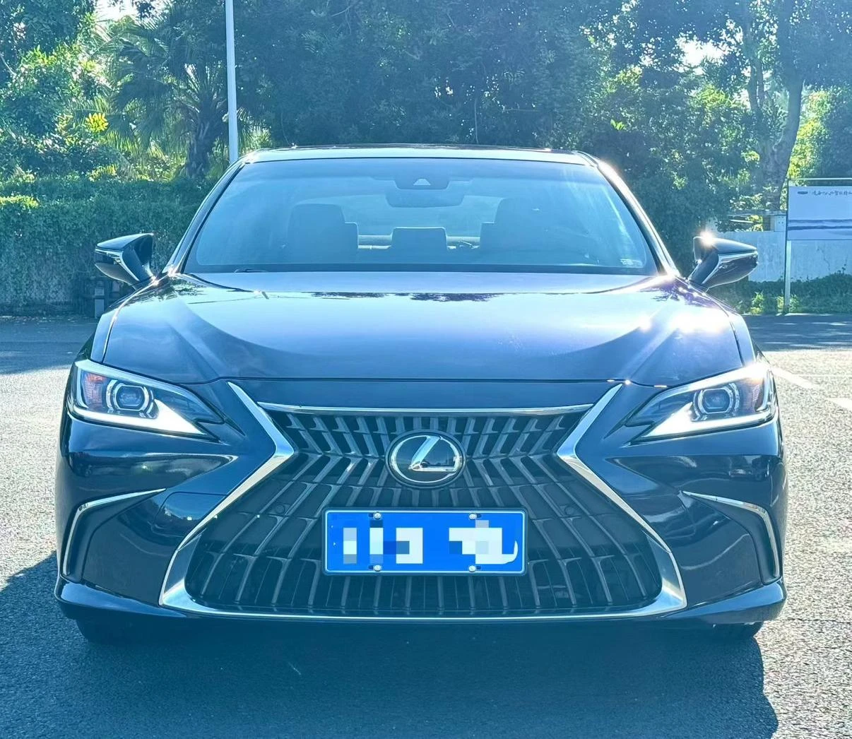 Lexus ES 200 Excellence Edition - exterior
