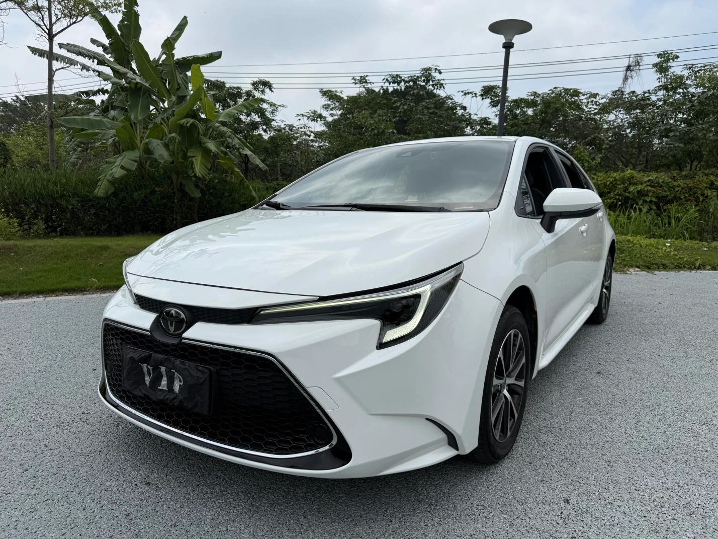 Toyota Levin 185T Luxury Edition