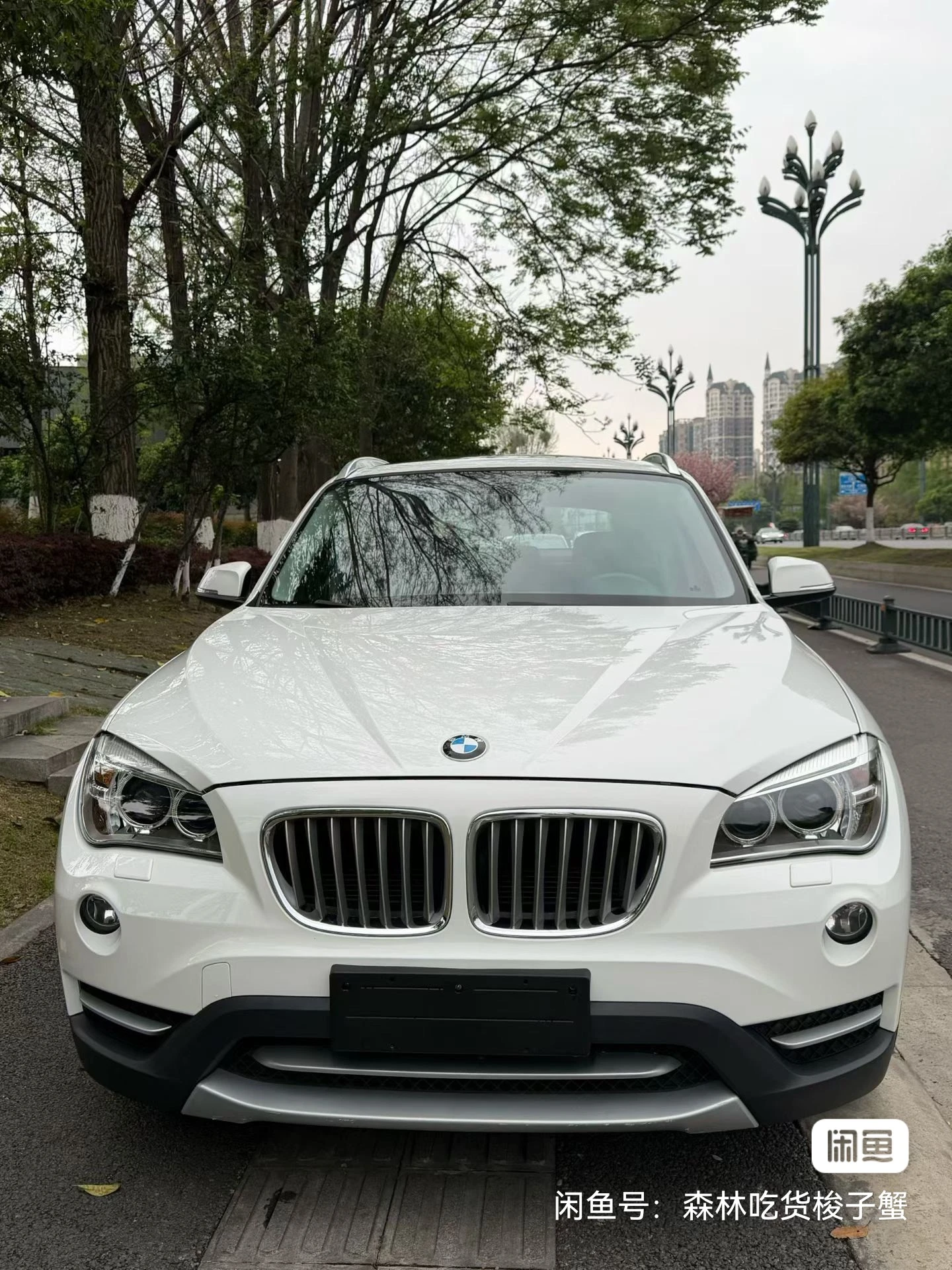 BMW X1 20i - engine