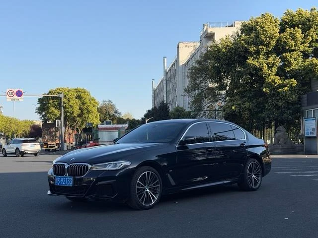BMW 5 Series 530Li Leading Edition