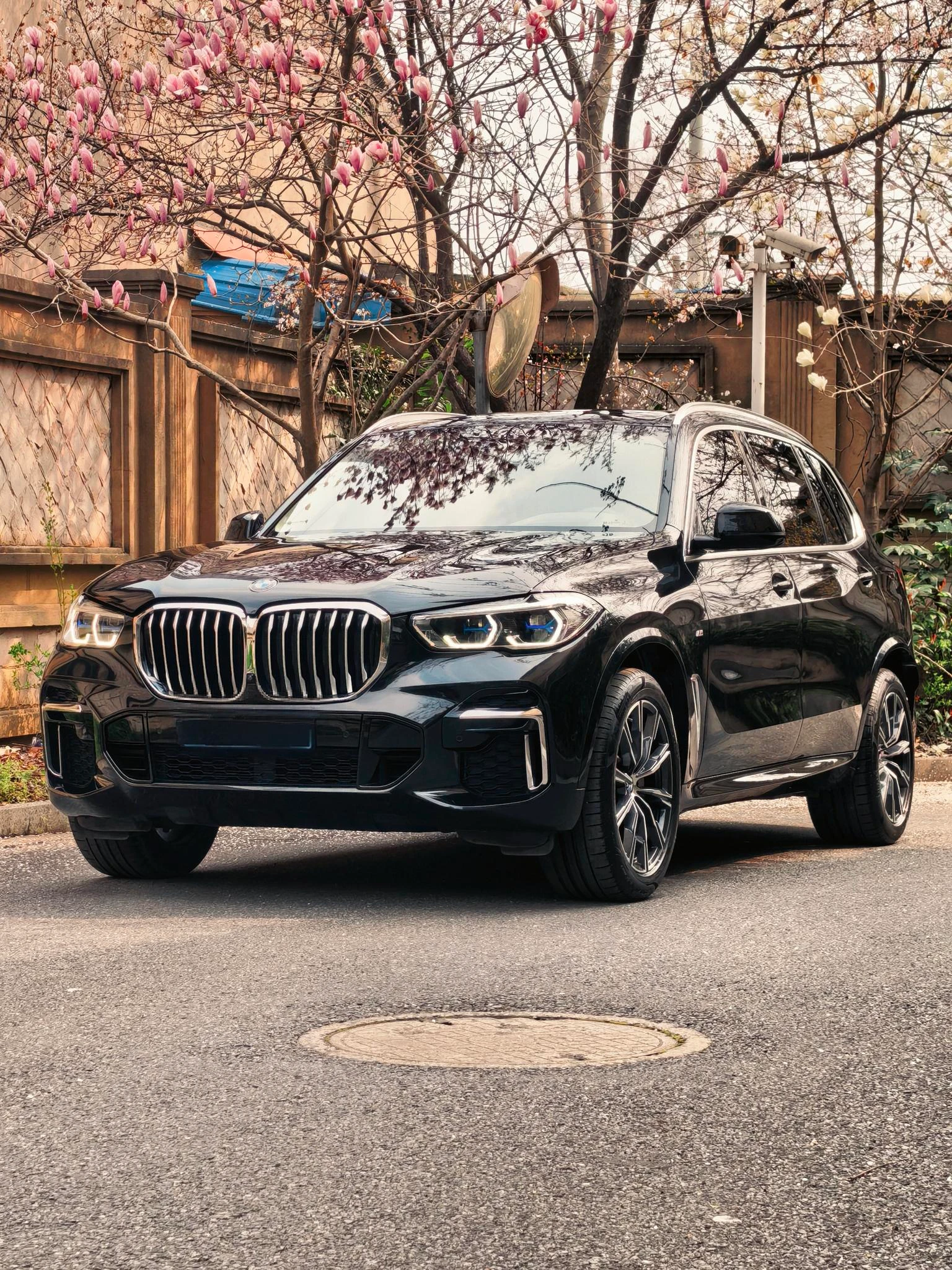 BMW X5 xDrive 30Li M Sport Package