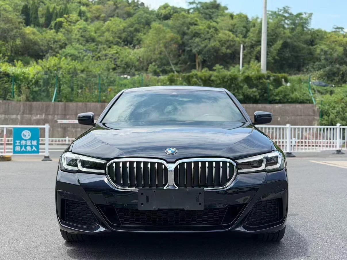 BMW 5 Series 530Li Leading Edition M Sport Package - exterior