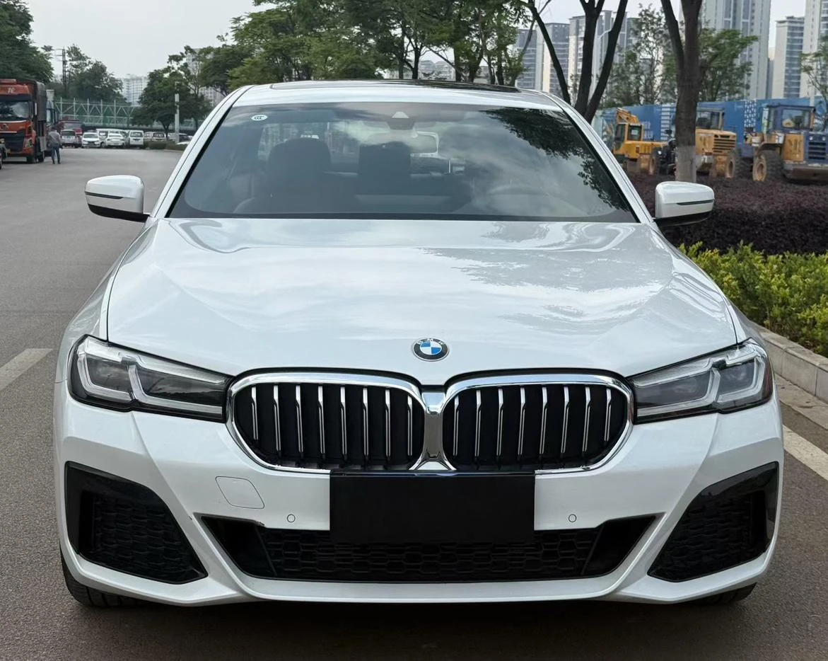 BMW 5 Series 525Li M Sport package - exterior