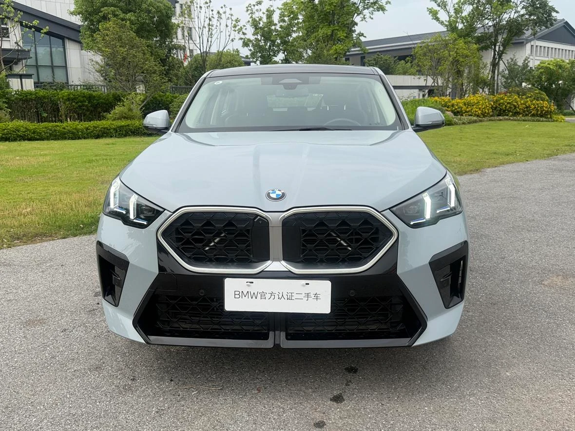 BMW X2 sDrive25i M Sport Package - exterior