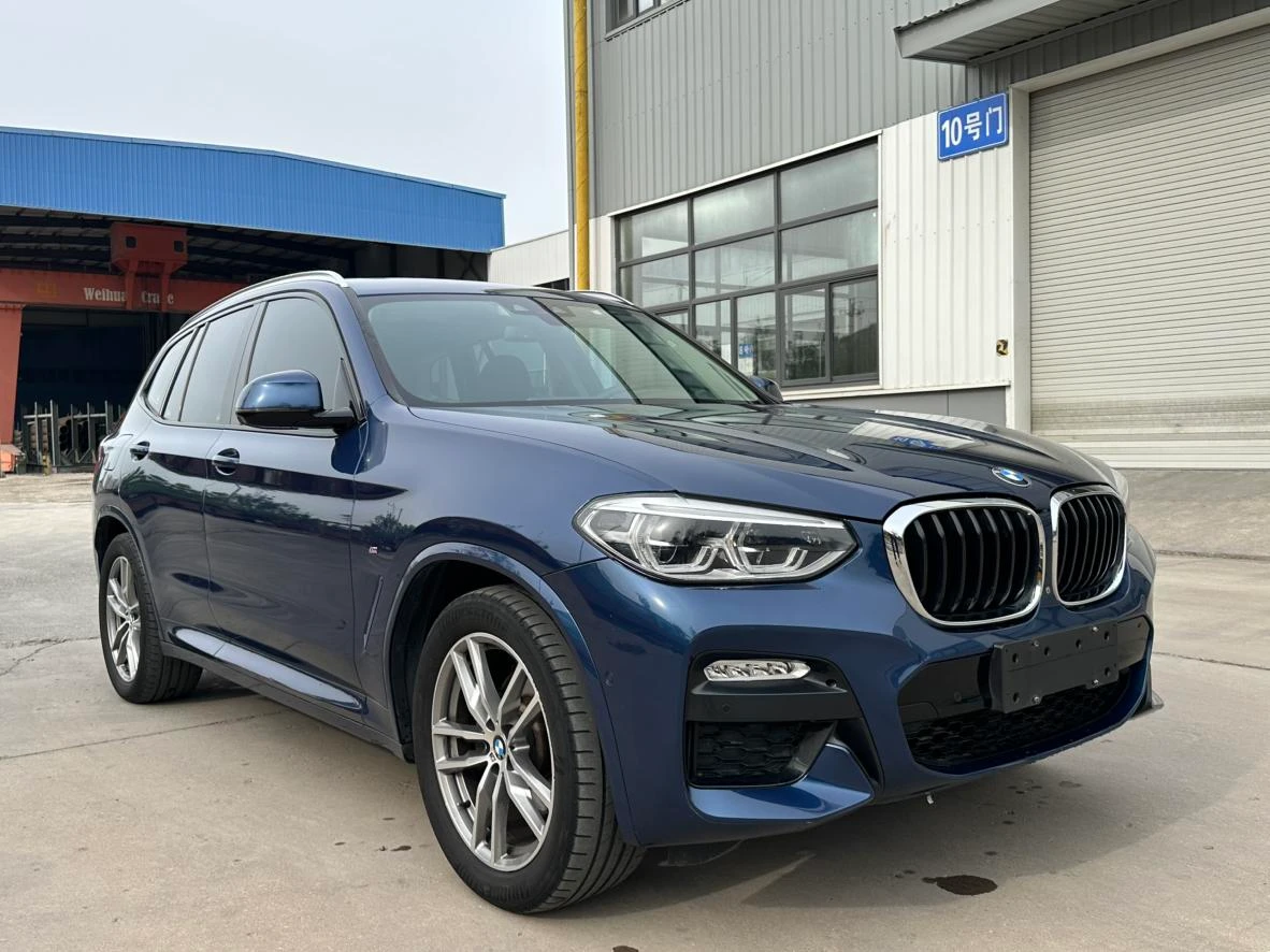 BMW X3 xDrive30i Leading Model - exterior