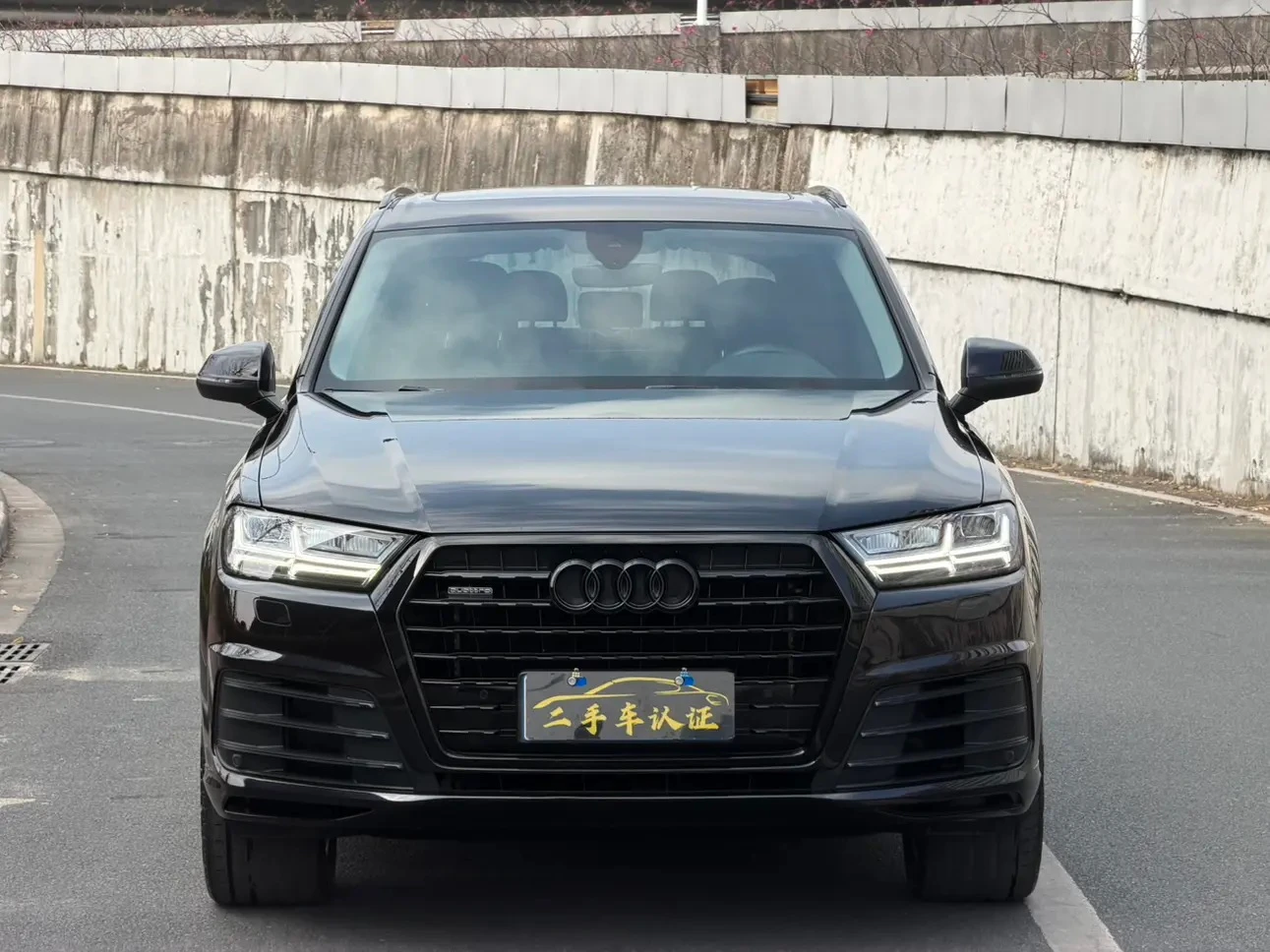 Audi Q7 55 TFSI S line Sport - exterior