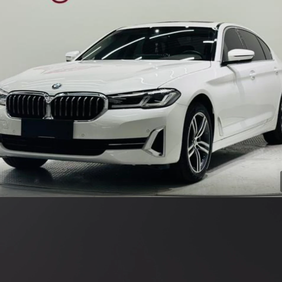 BMW 5 Series 530 Leading - exterior
