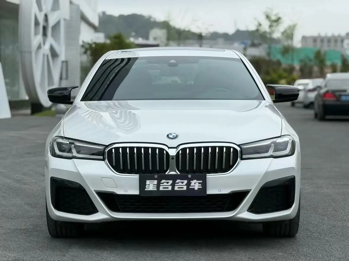 BMW 5 Series 530Li Luxury - exterior