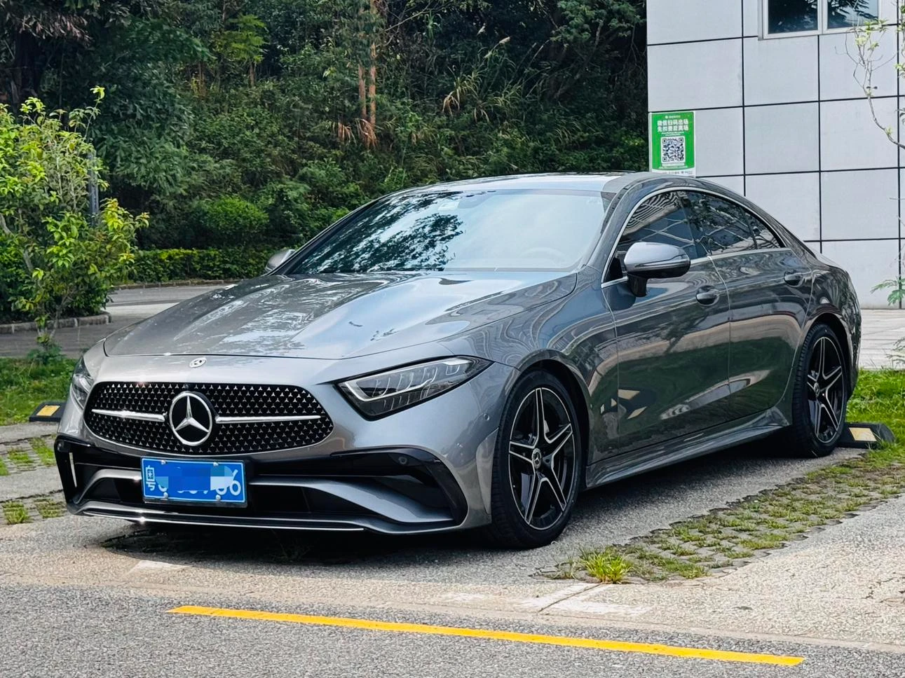Mercedes-Benz CLS-Class CLS300 Facelift Dynamic