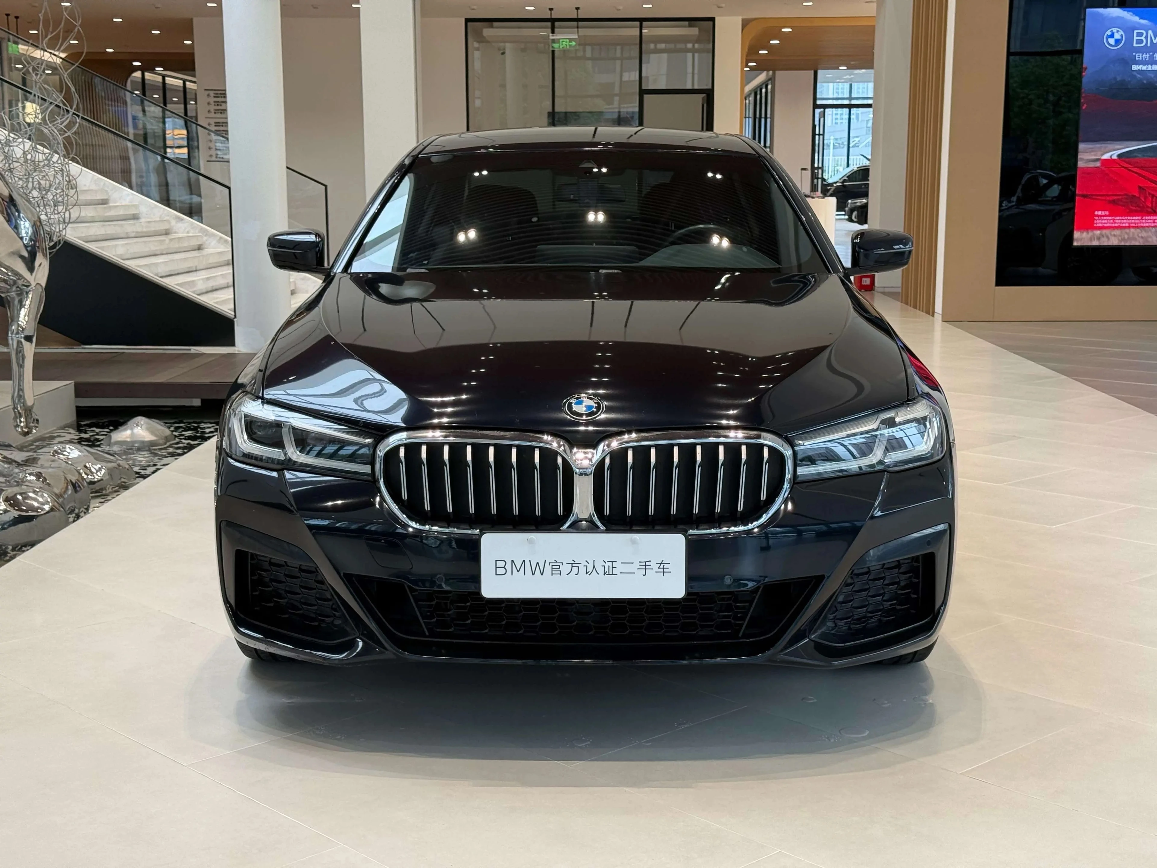 BMW 5 Series 530Li Leading - exterior