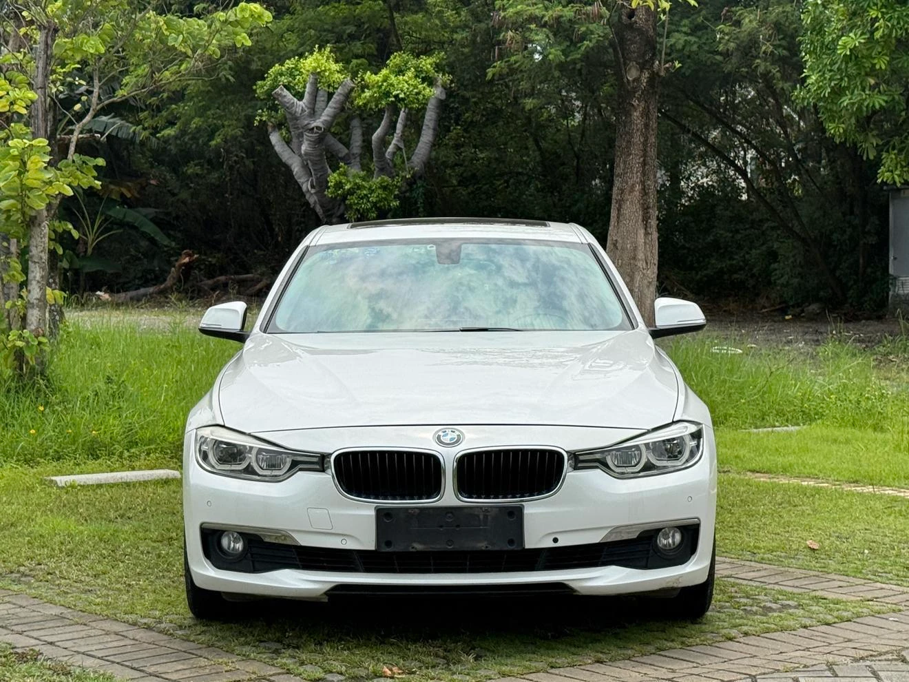 BMW 3 Series 320Li - exterior