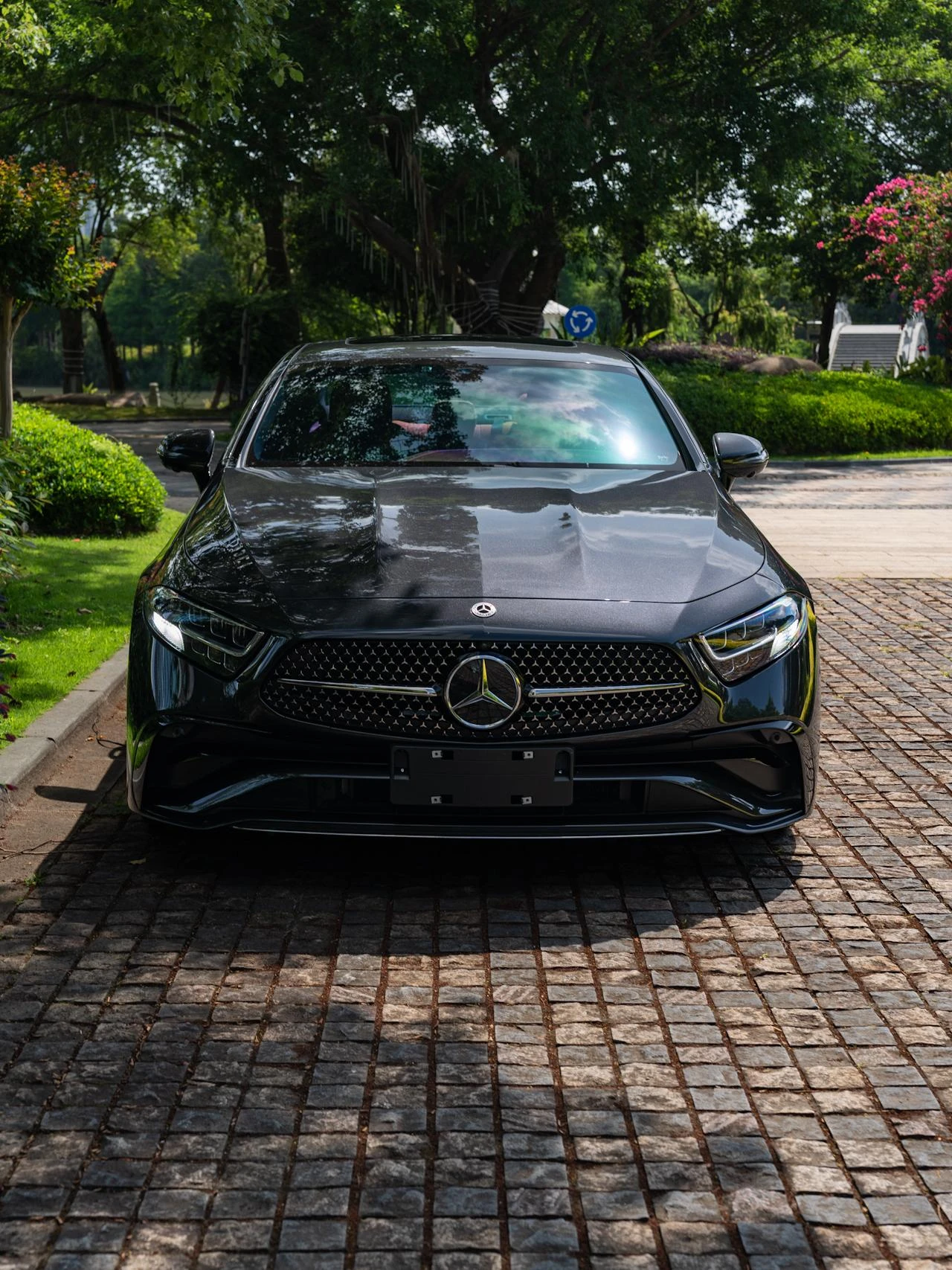 Mercedes-Benz CLS-Class CLS300 Dynamic