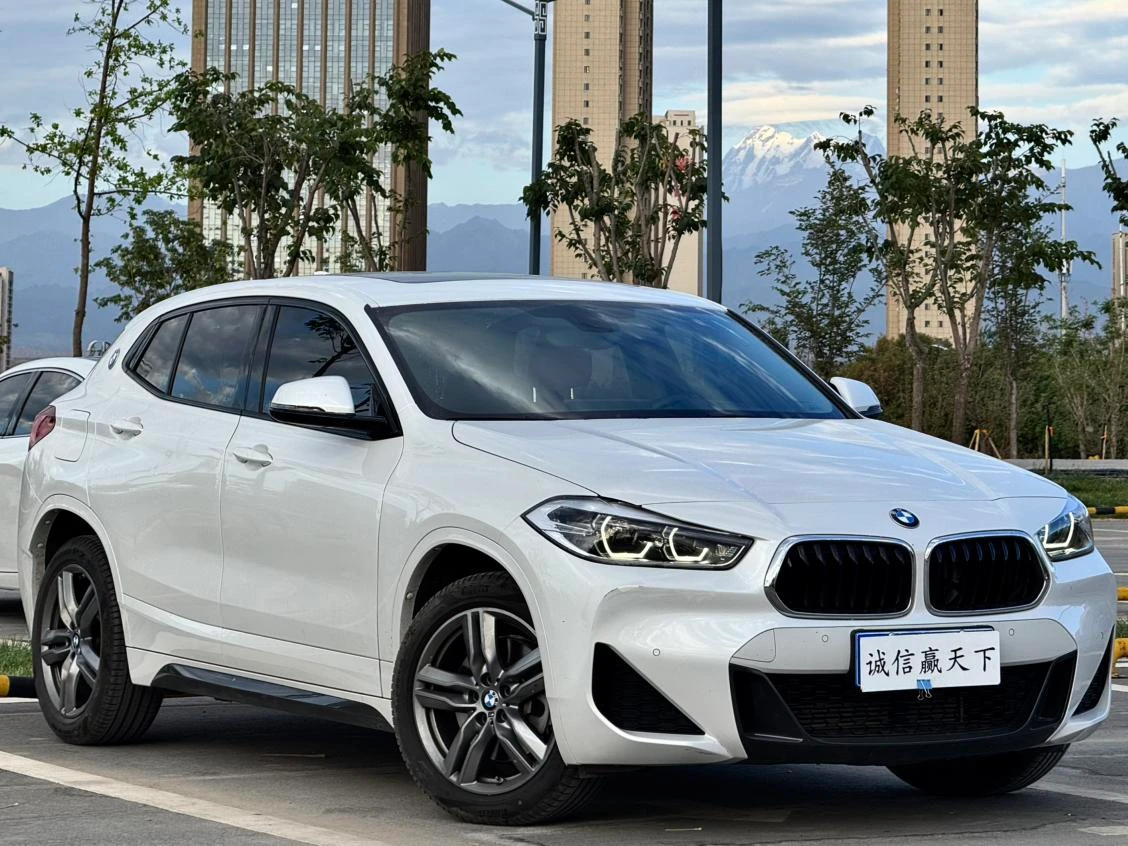 BMW X2 sDrive25i M Sport Package