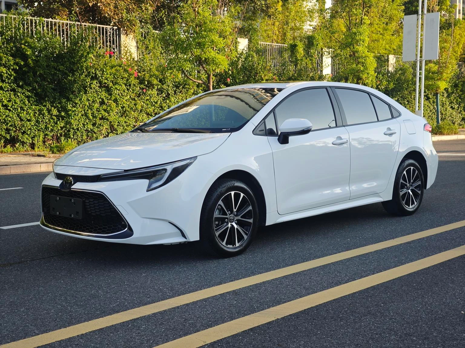 Toyota Levin 185T Luxury Edition