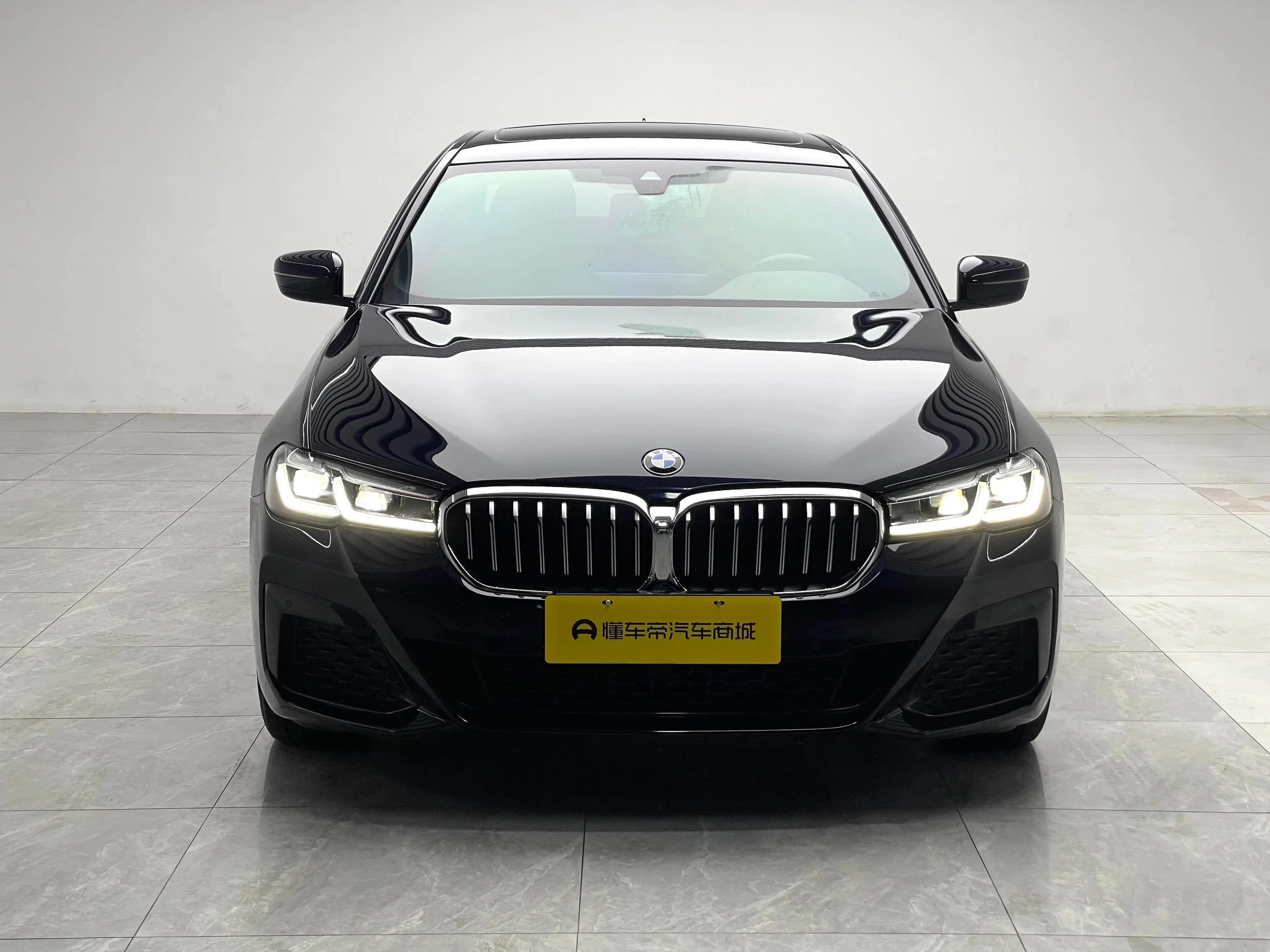 BMW 5 Series 530Li Leading Edition - exterior