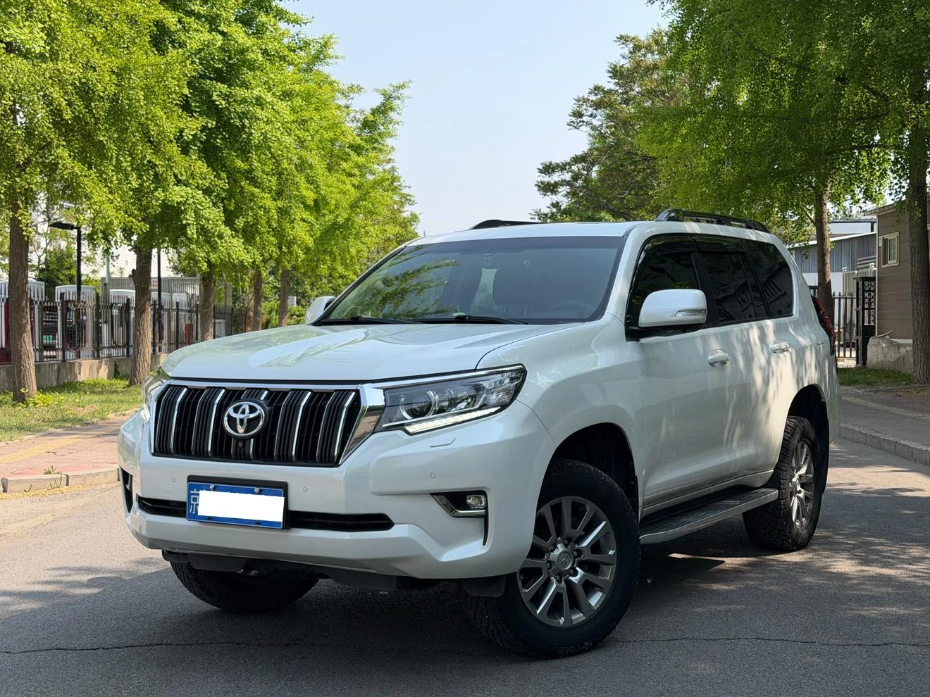 Toyota Prado