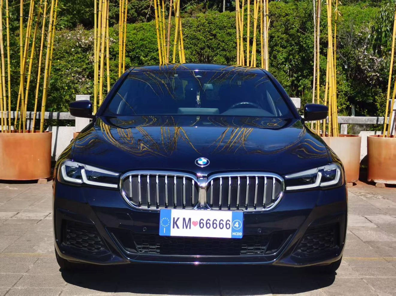 BMW 5 Series 530i M Sport - exterior