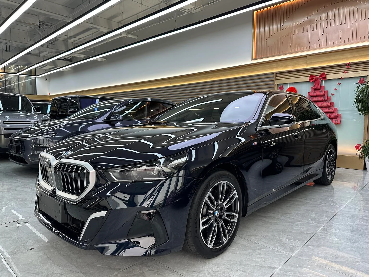 BMW 5 Series 530Li xDrive Luxury Package