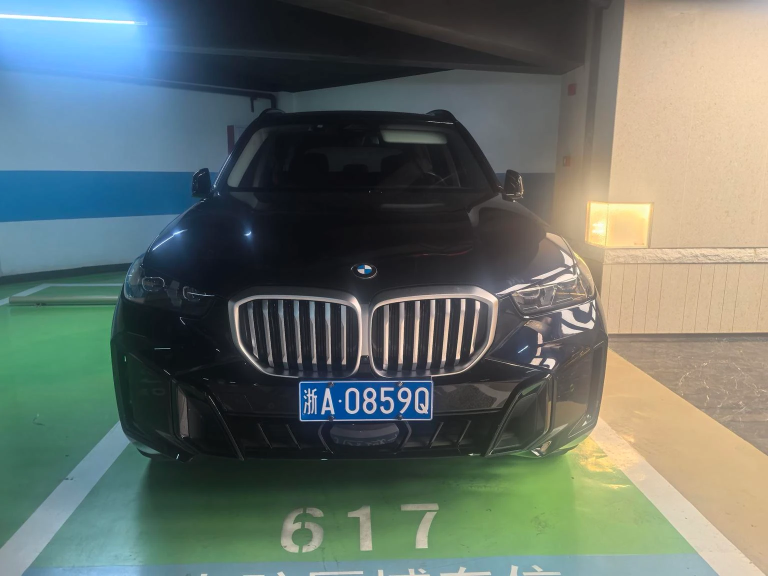 BMW X5 xDrive30Li Luxury M Sport Shadow Edition - exterior
