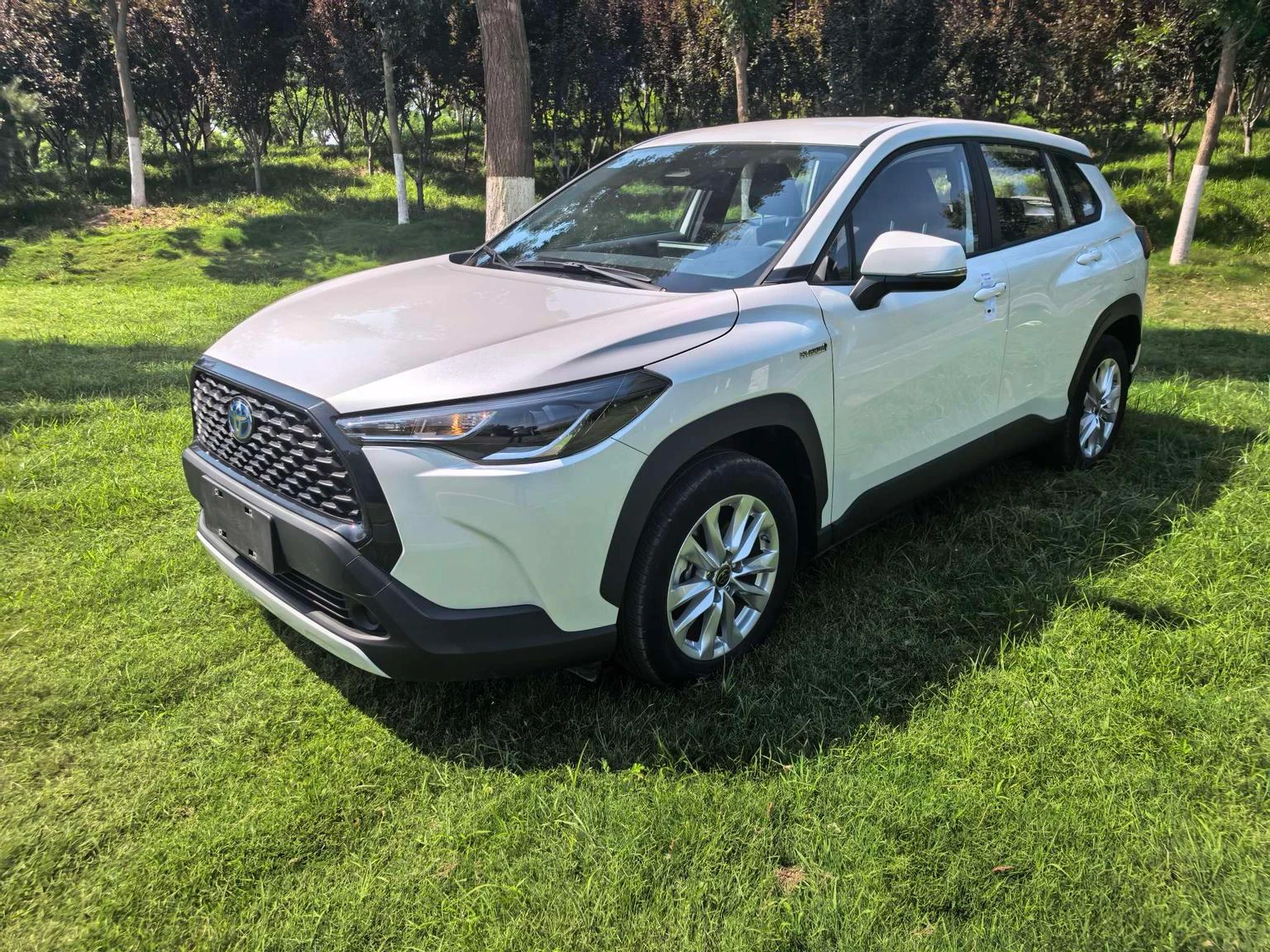 Toyota Corolla Cross 2.0L Intelligent Hybrid Pioneer Edition