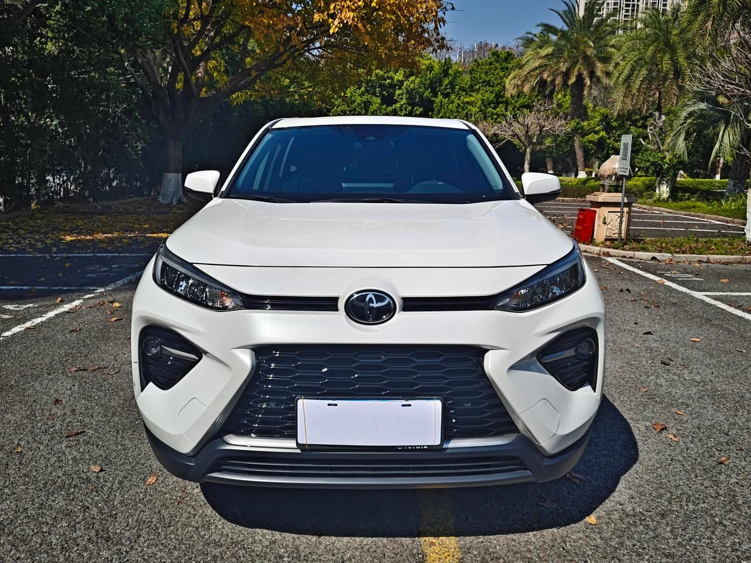 Toyota Wildlander 2.0L 2WD Urban Edition - exterior