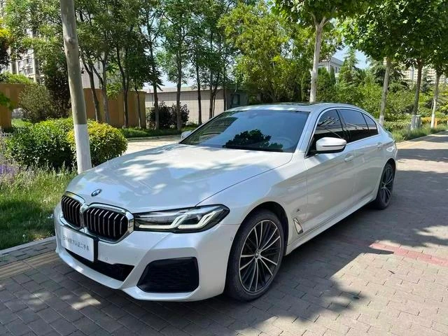 BMW 5 Series 530Li Leading