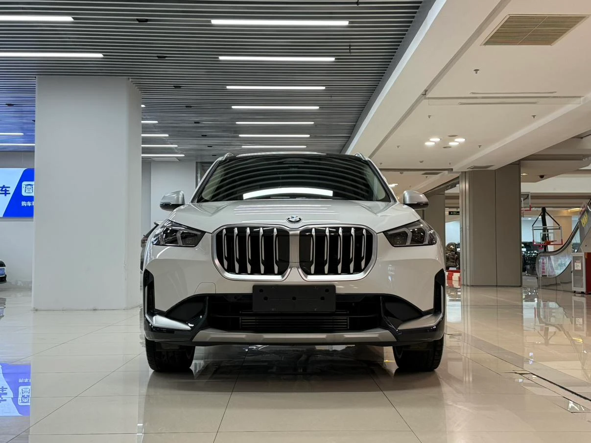 BMW X1 xDrive25Li X Design Package - exterior