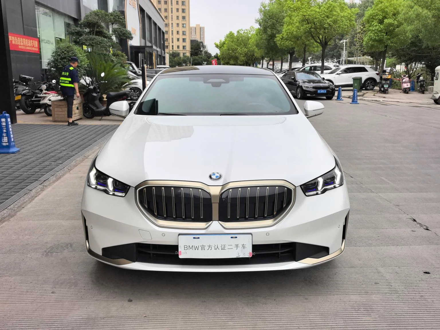 BMW 5 Series 530Li Premium Luxury Package - exterior
