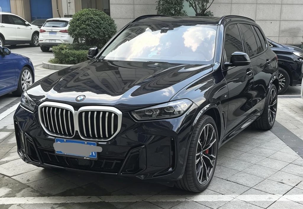 BMW X5 xDrive30Li M Sport Package