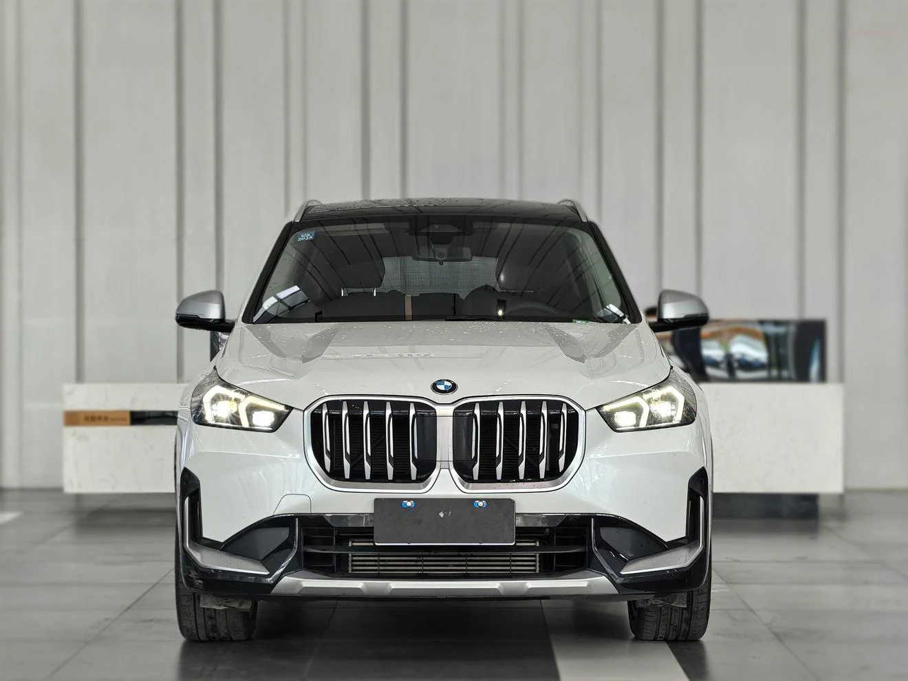 BMW X1 sDrive25Li X Design Package - exterior