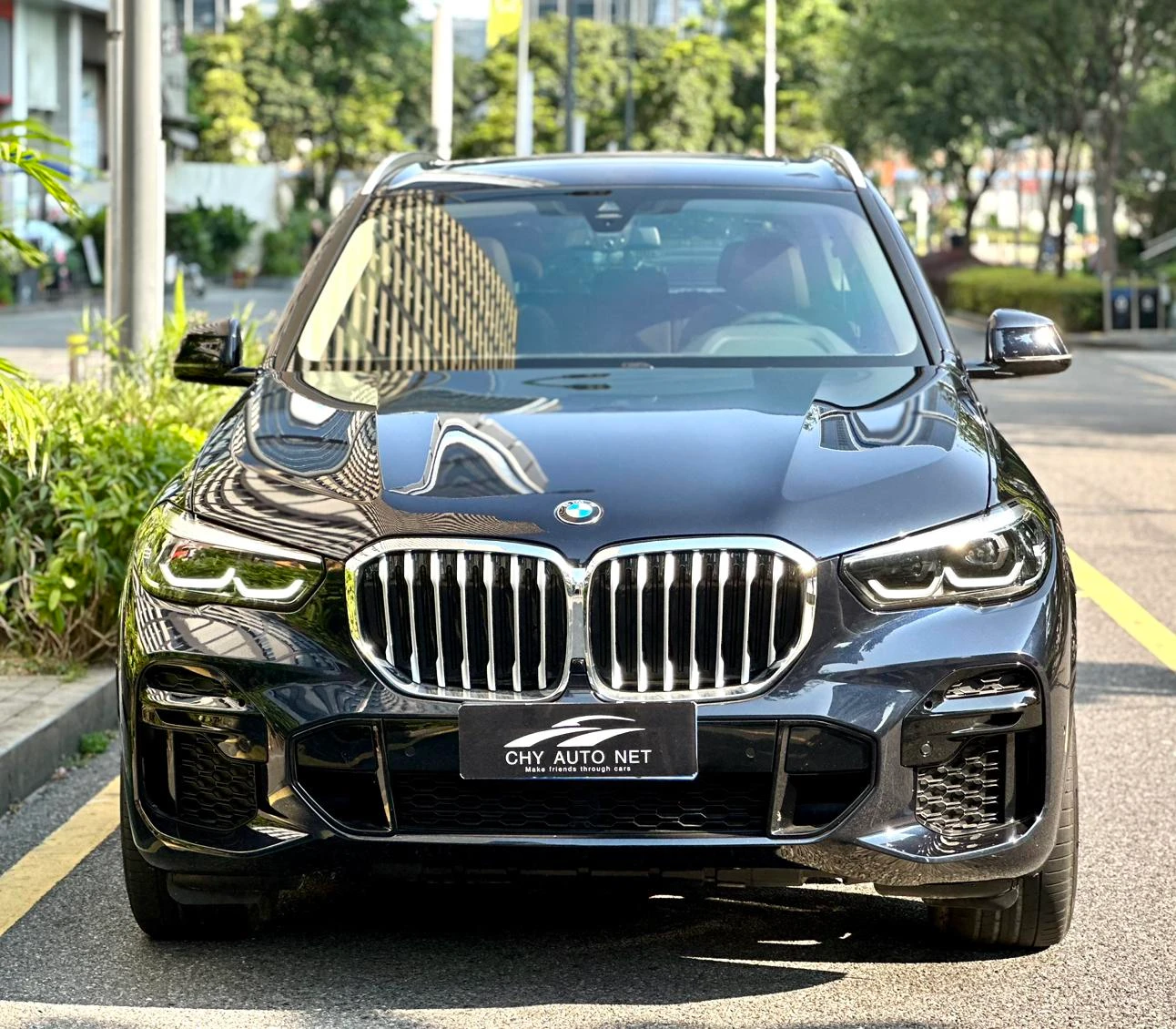 BMW X5  xDrive30i X Design Package - exterior
