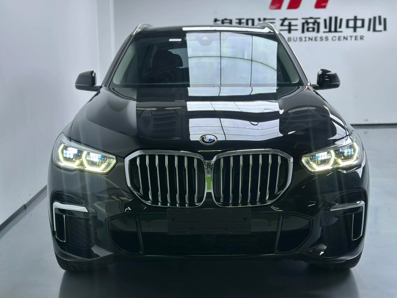 BMW X5 xDrive 30Li Luxury M Sport Package - exterior