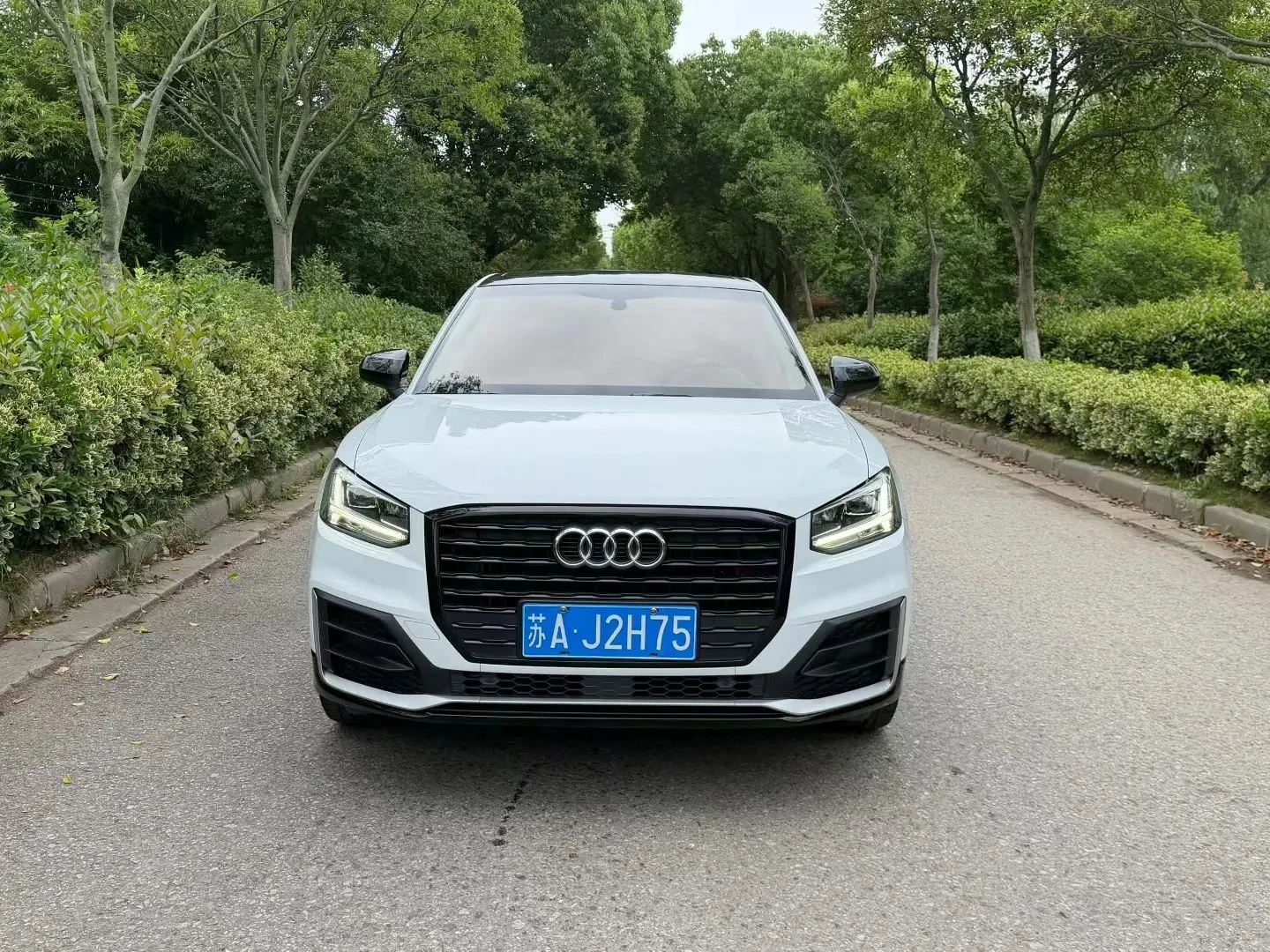 Audi Q2L 35TFSI Fashion Elegant Trim - exterior