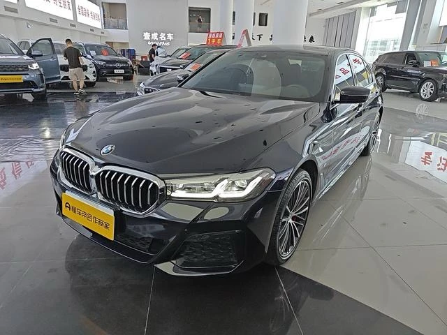 BMW 5 Series 530Li Leading