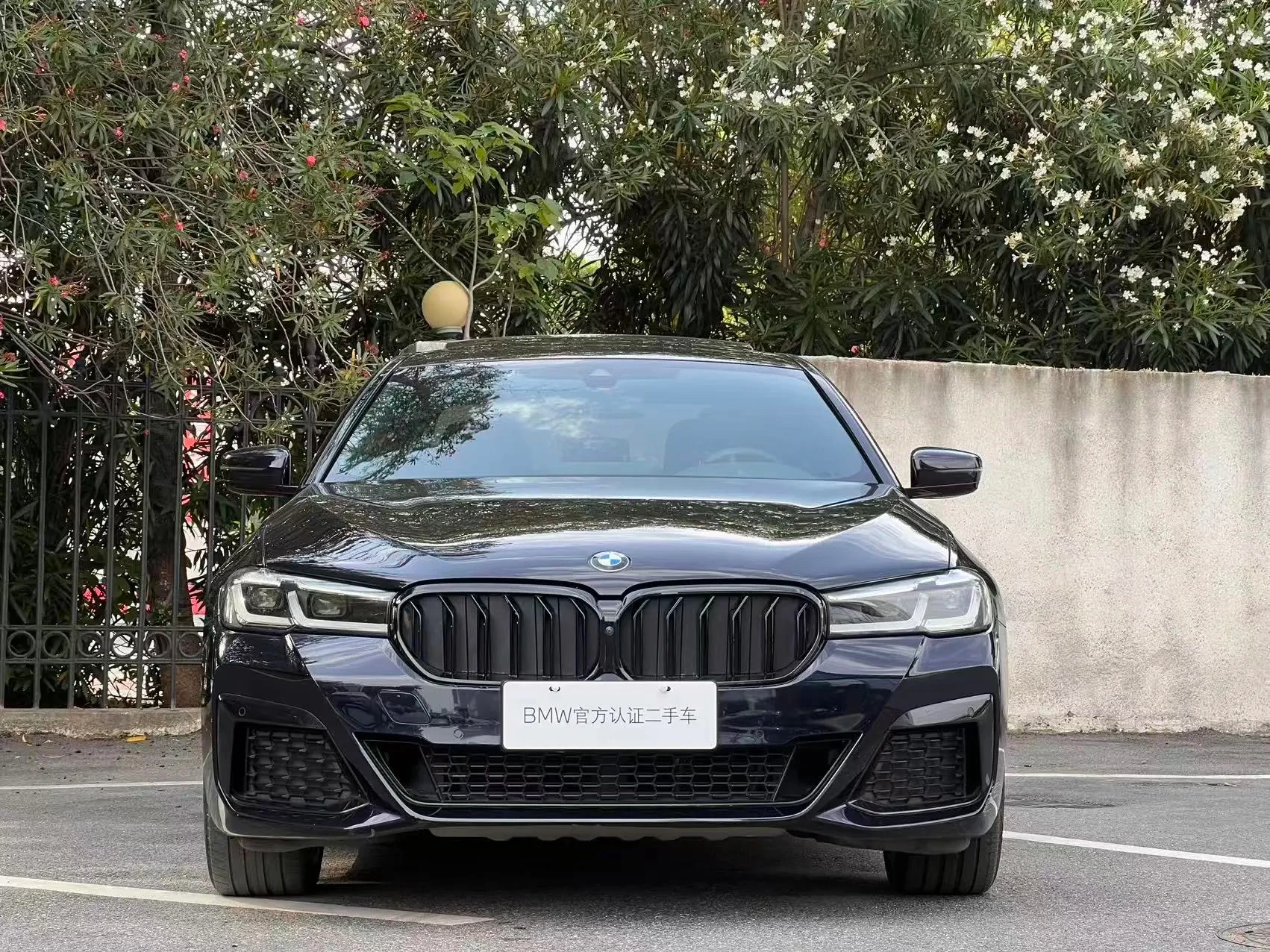 BMW 5 Series 530Li Luxury - exterior