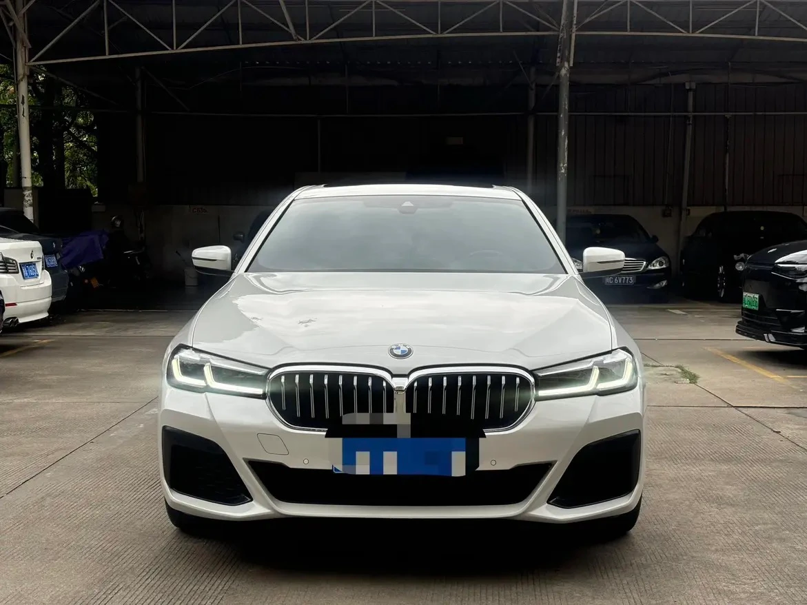 BMW 5 Series 530Li Leading - exterior