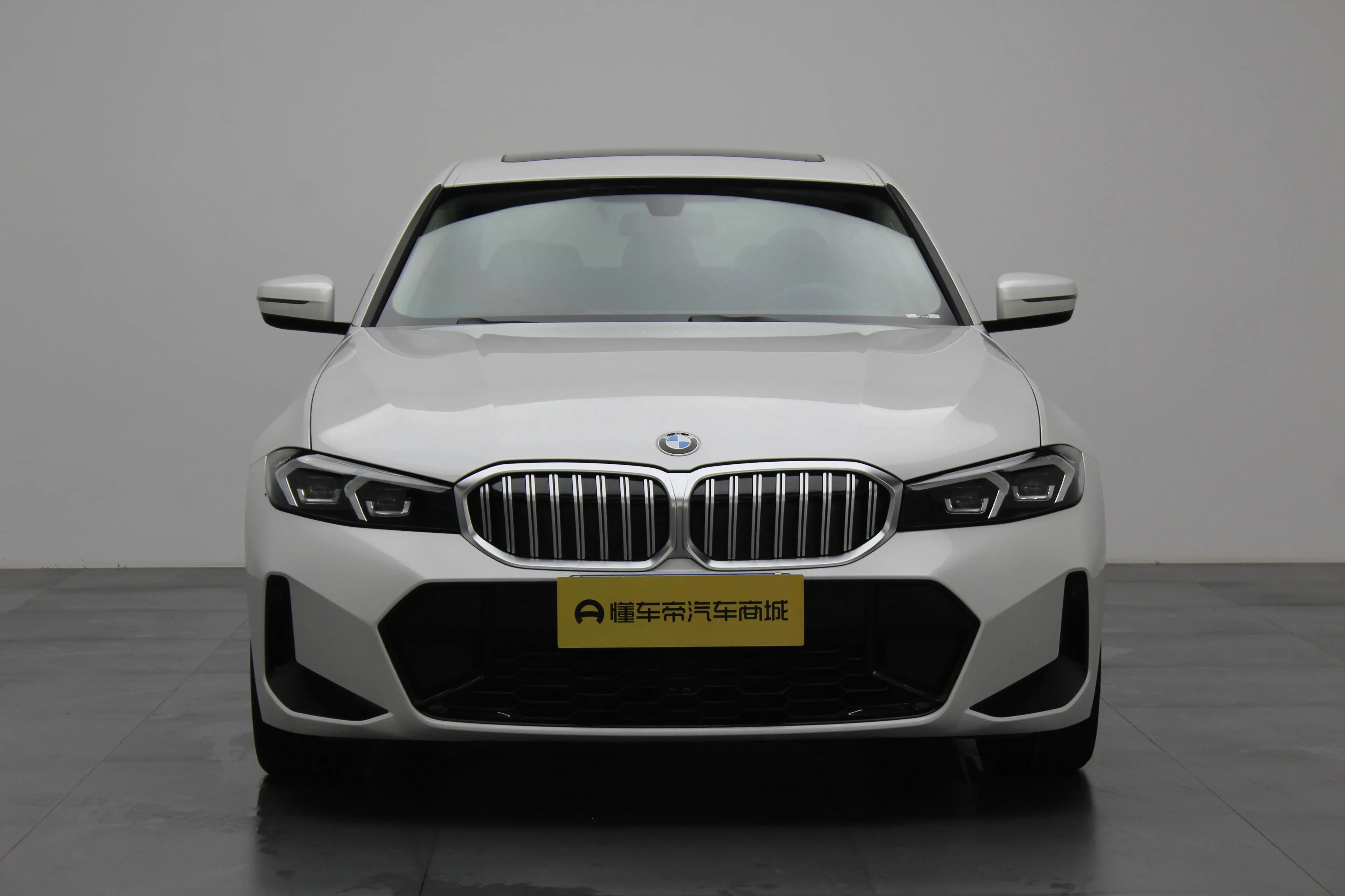 BMW 3 Series 320Li M Sport Package - exterior