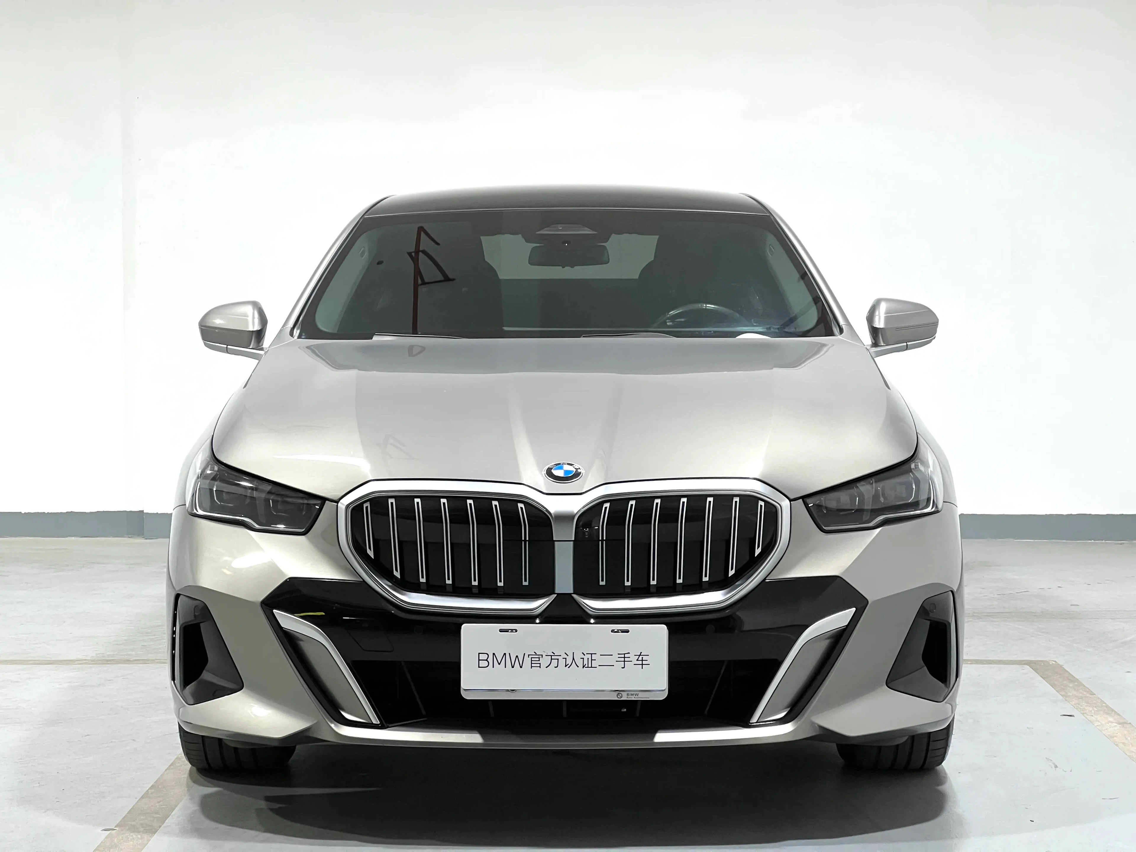 BMW 5 Series 530Li Leading Edition - exterior