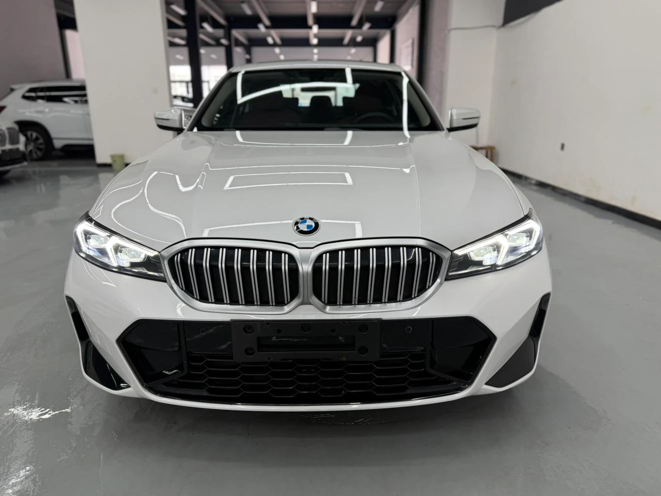 BMW 3 Series 320Li M Sport Package - exterior
