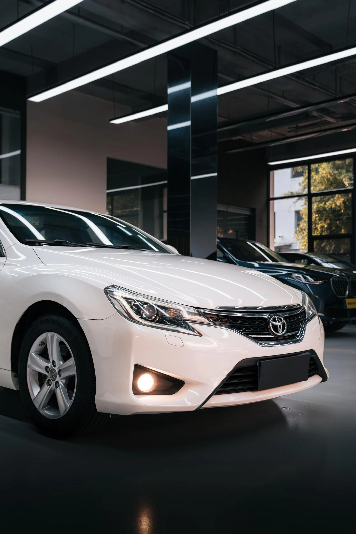 Toyota Mark X - exterior