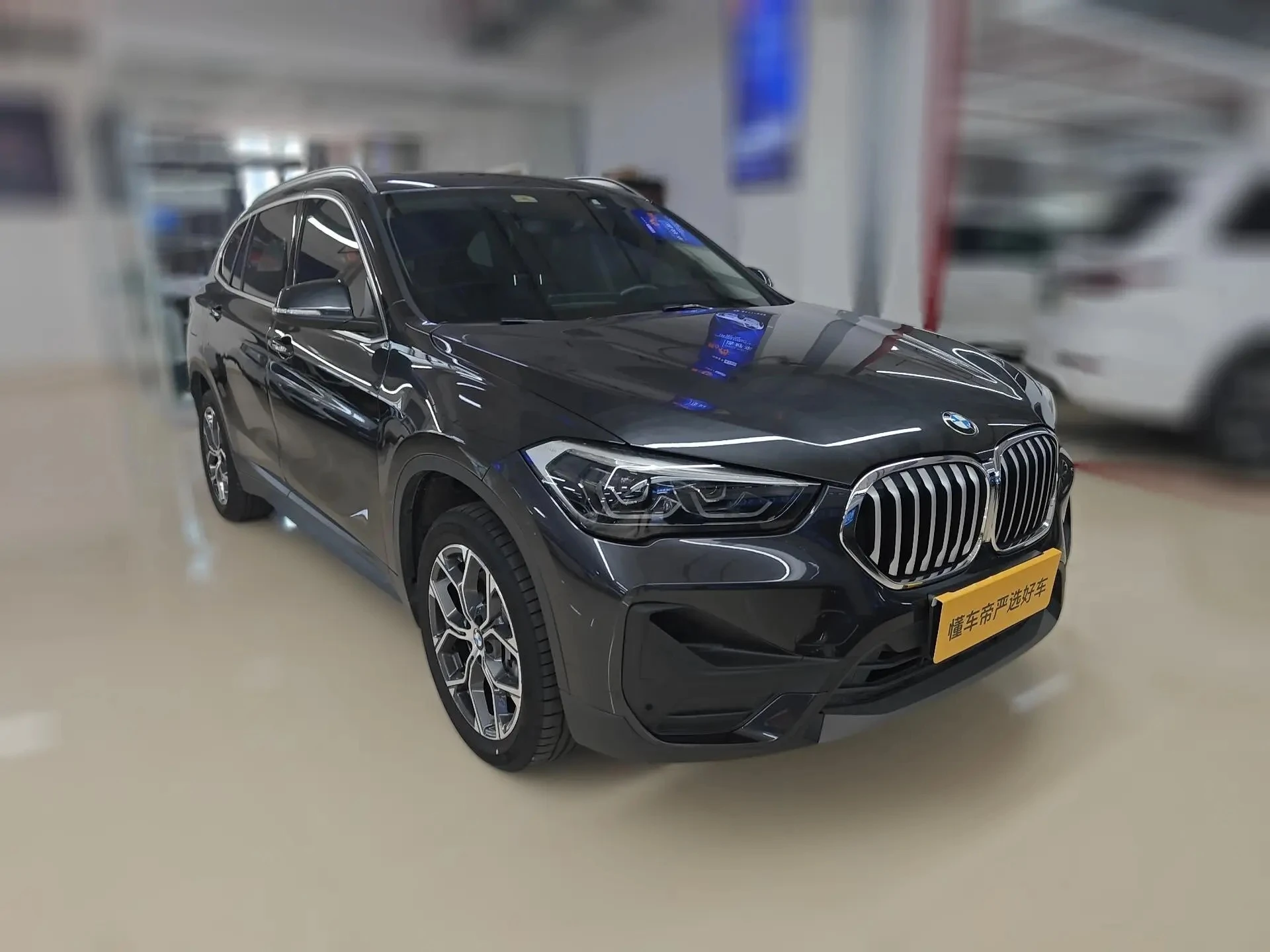 BMW X5 xDrive 25Li Leading - exterior