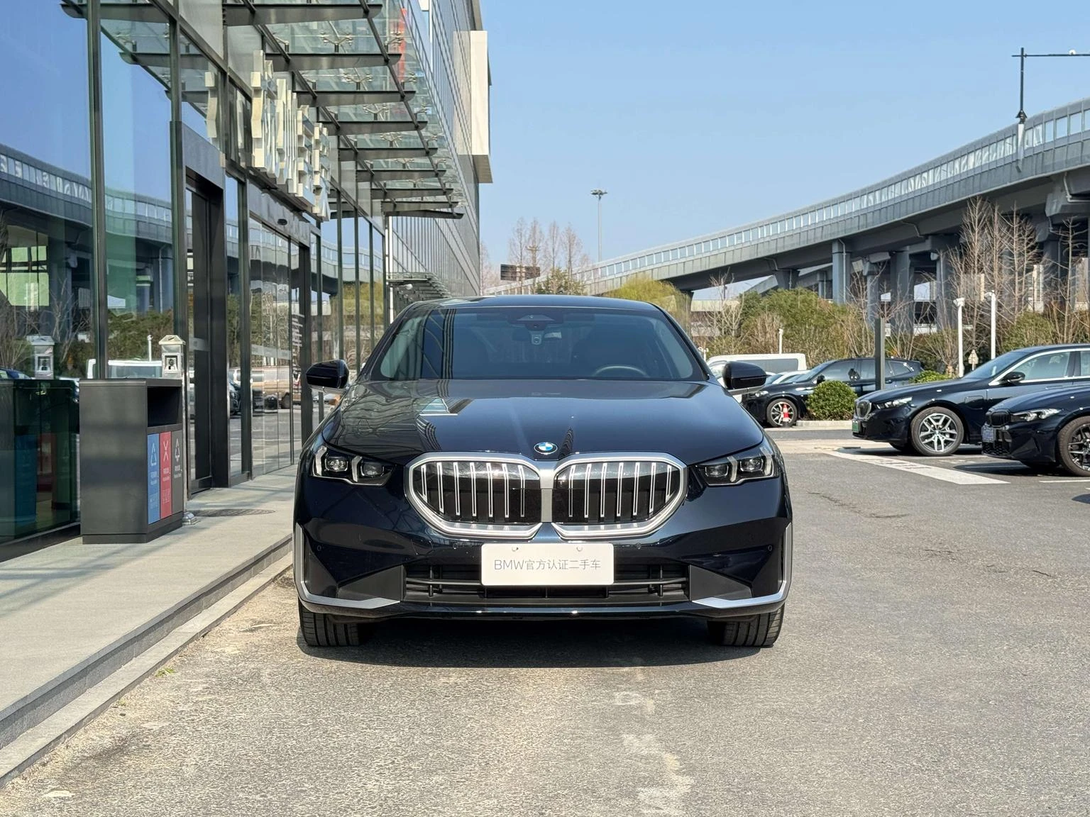 BMW 5 Series 530Li Leading Luxury Package - exterior